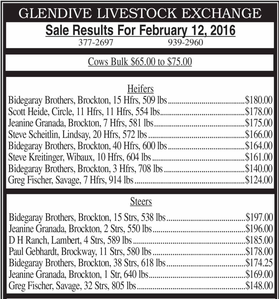  Glendive Livestock Exchange Sale Results Feb. 12, 2016