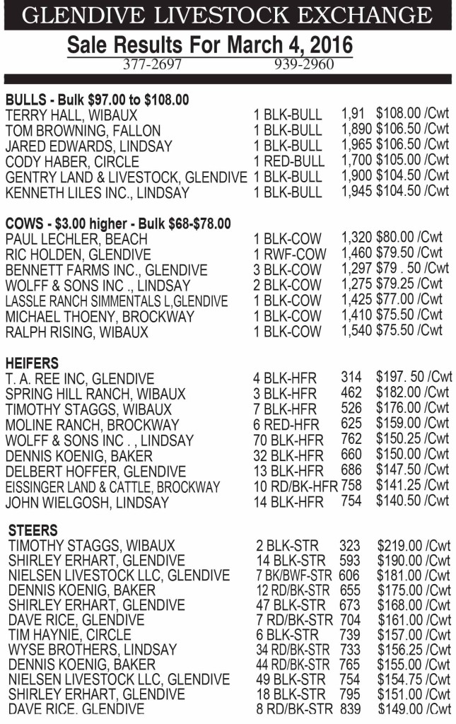 Glendive Livestock sale results March 4, 2016