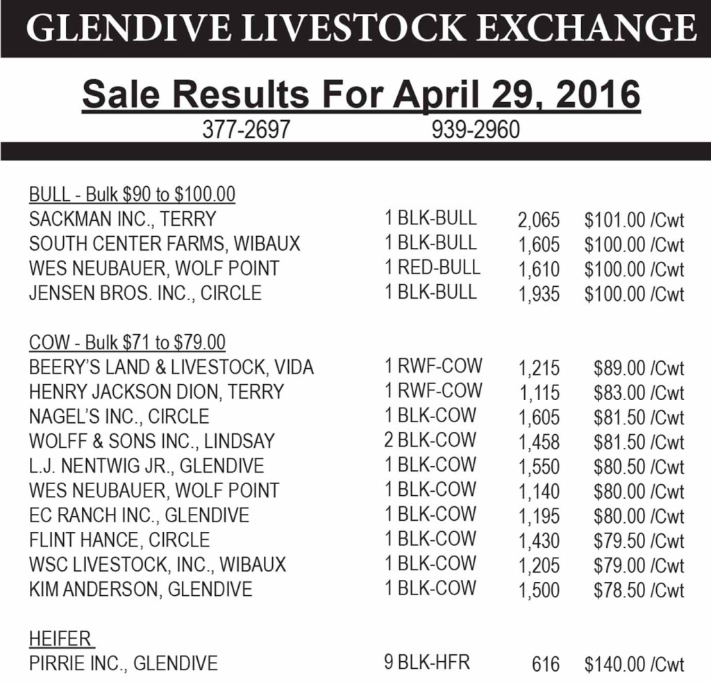 Glendive Livestock sale results April 29, 2016